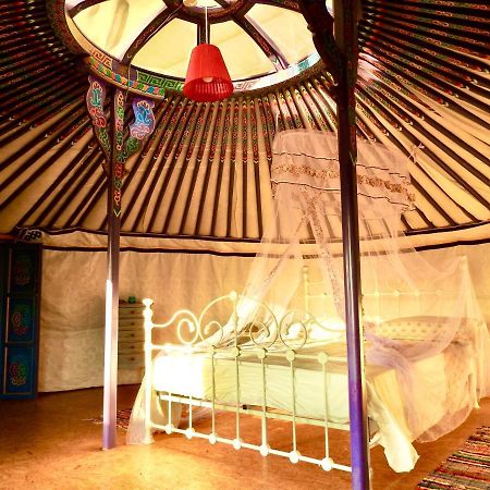 Exclusive Nirvana Yurts Glamping Като Дрис Екстериор снимка