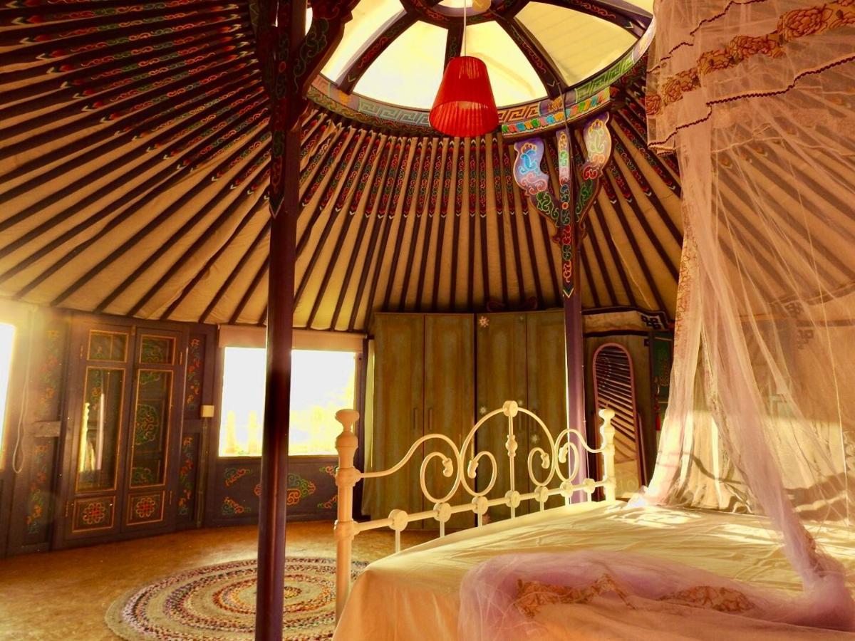 Exclusive Nirvana Yurts Glamping Като Дрис Екстериор снимка