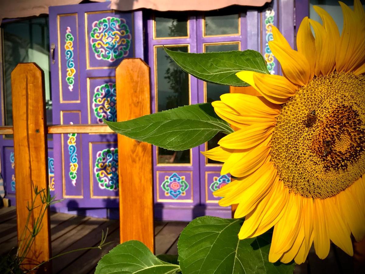 Exclusive Nirvana Yurts Glamping Като Дрис Екстериор снимка
