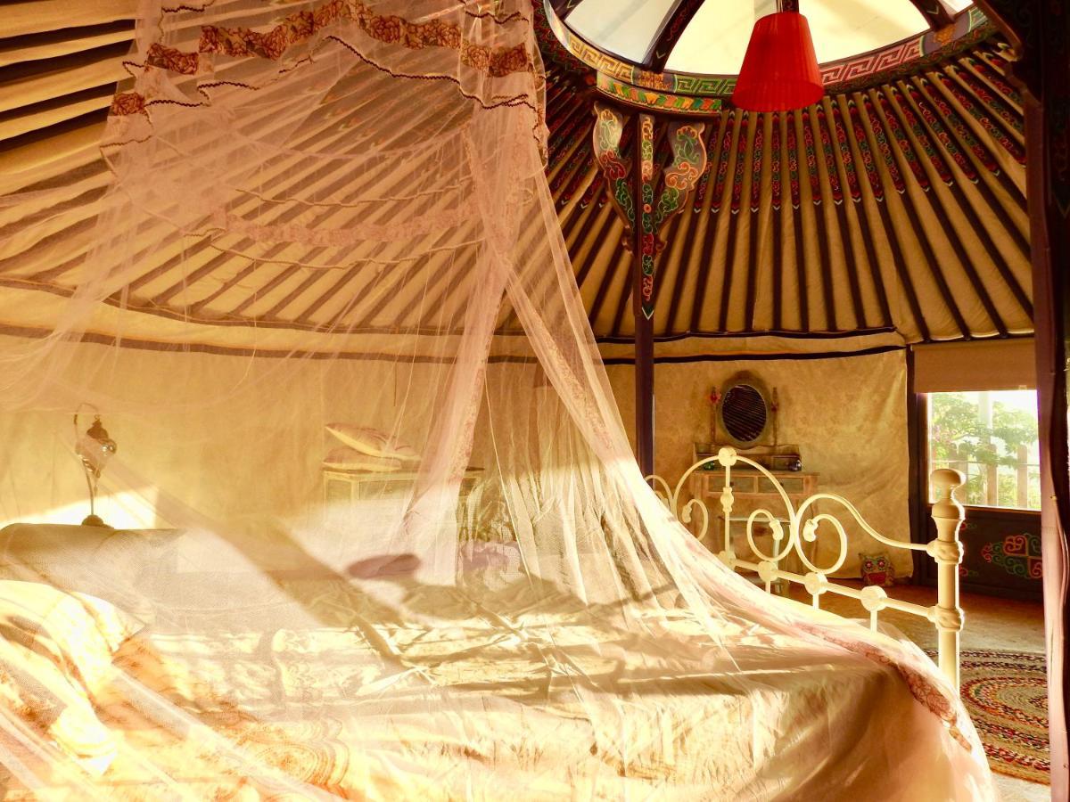 Exclusive Nirvana Yurts Glamping Като Дрис Екстериор снимка